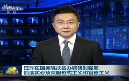 中央新闻,权威发声，传递中国声音